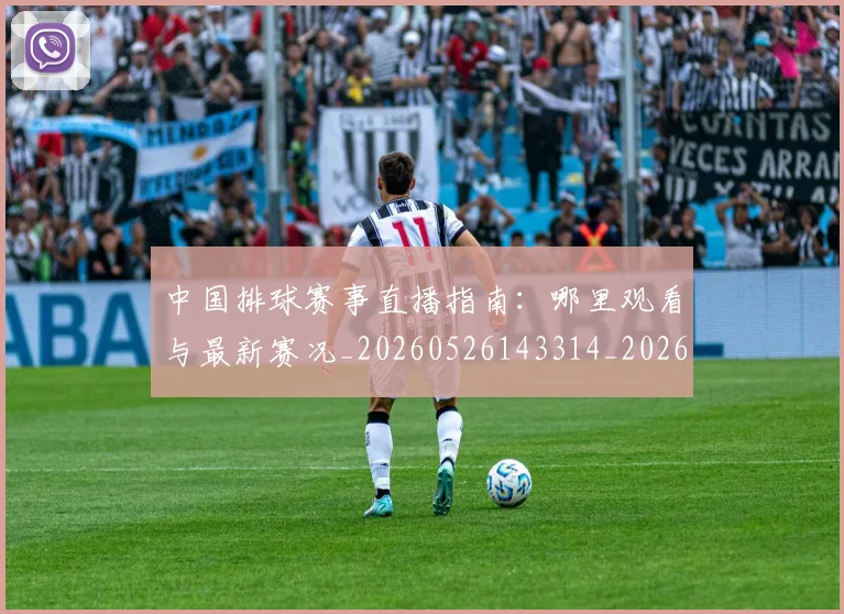 中国排球赛事直播指南：哪里观看与最新赛况_20260526143314_20260607160628