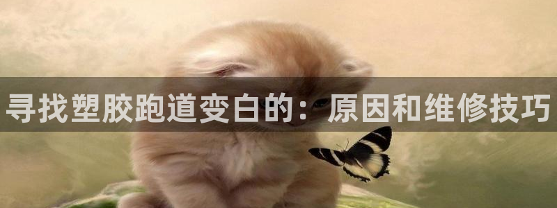 谈球吧平台正规吗可靠吗知乎:寻找塑胶跑道变白的:原因和维修技